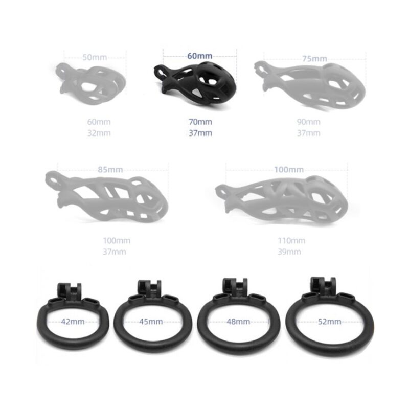 Cage de chasteté Solid Vipe