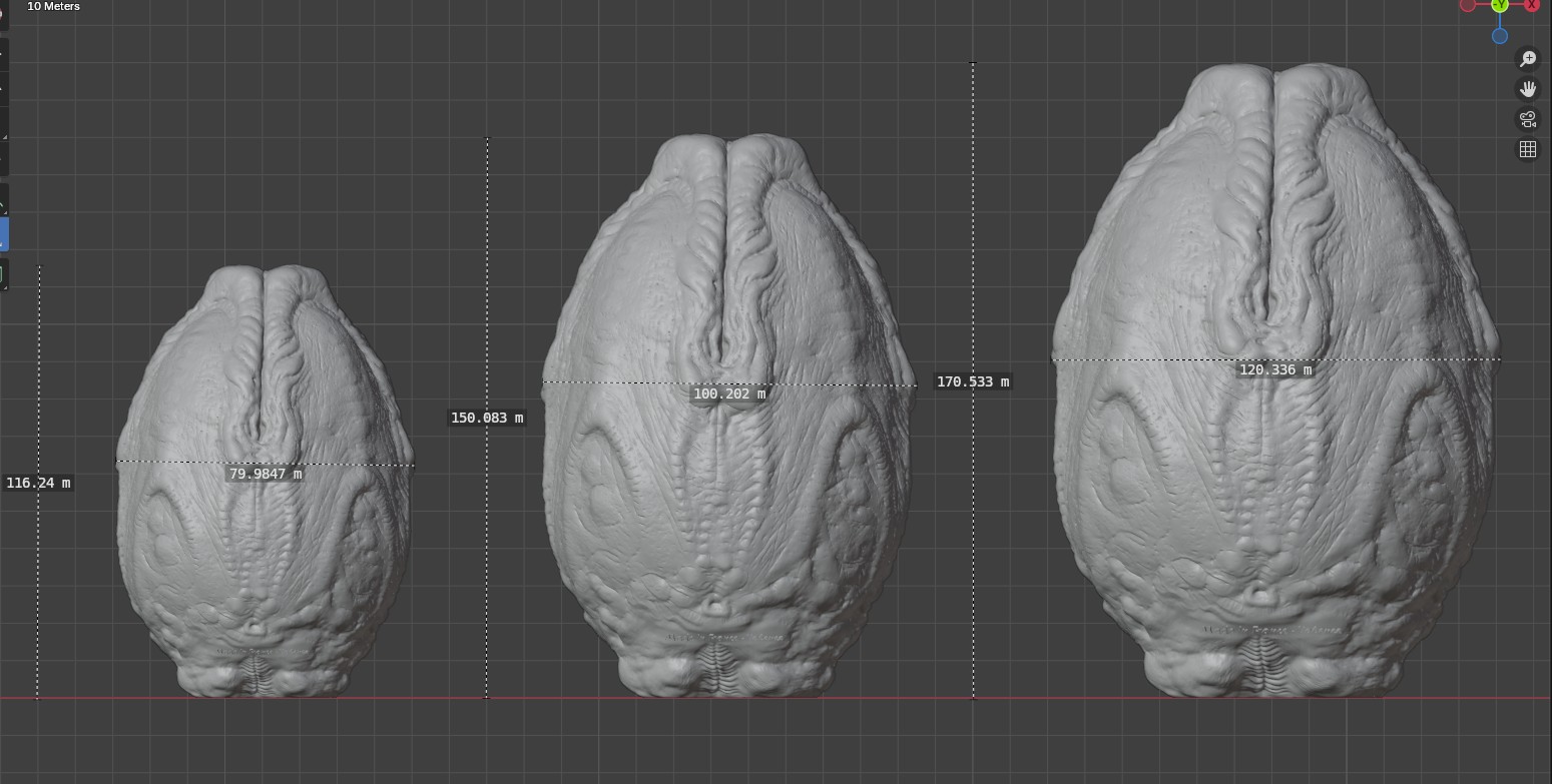 Ovomorph_size_chart_XL_to_LS