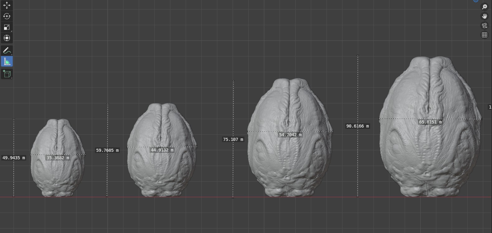 Ovomorph_size_chart_XS_to_L
